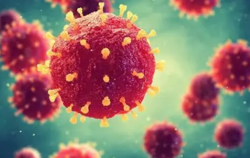 解读孕前需知的"优生密码"——TORCH优生五项！