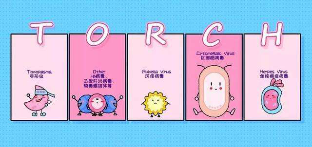解读孕前需知的"优生密码"——TORCH优生五项！
