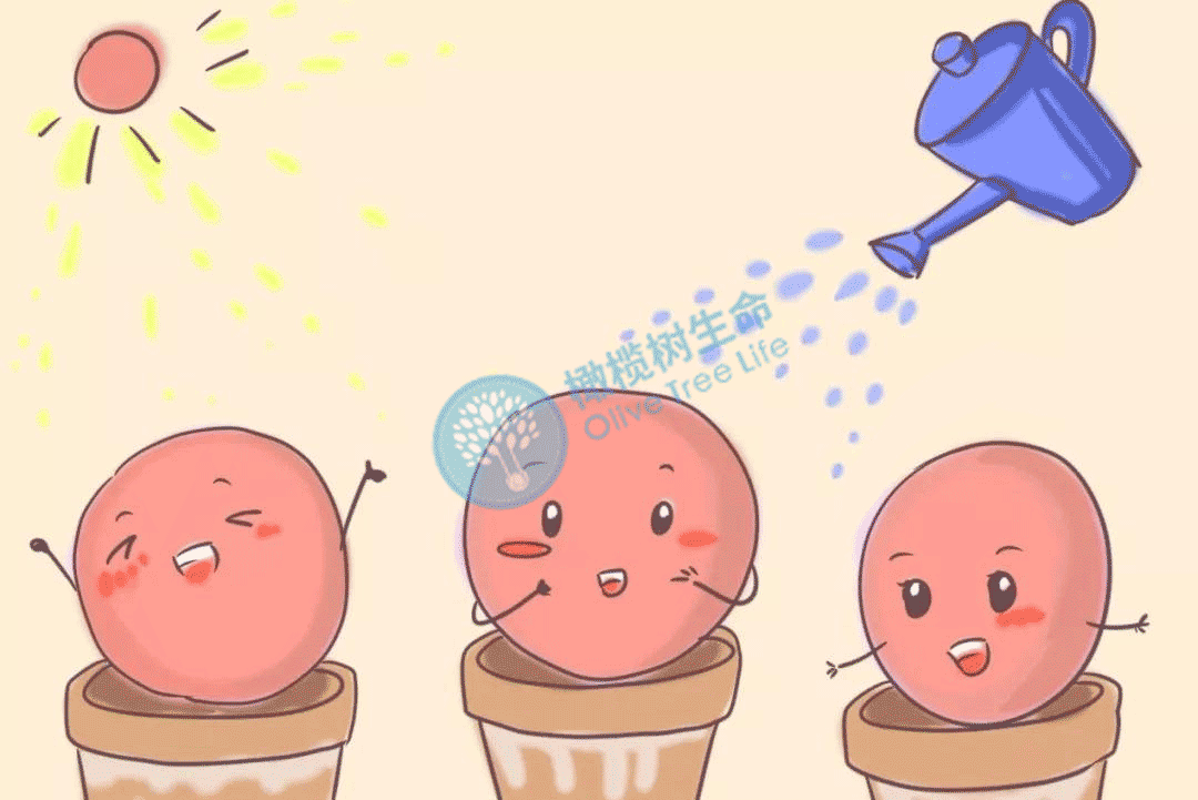 做试管婴儿为什么要降调？降调有什么用？