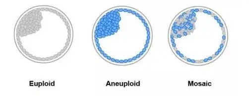 有且只有一个「嵌合体胚胎」，要不要选择移植？移植有哪些风险？