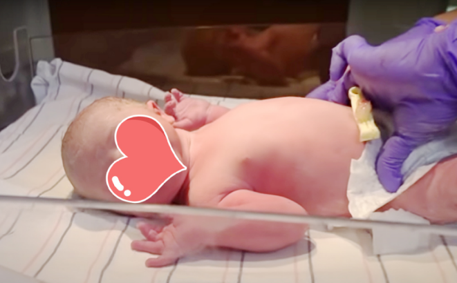 有且只有一个「嵌合体胚胎」，要不要选择移植？移植有哪些风险？