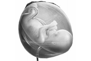 有且只有一个「嵌合体胚胎」，要不要选择移植？移植有哪些风险？