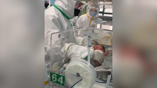 有且只有一个「嵌合体胚胎」，要不要选择移植？移植有哪些风险？