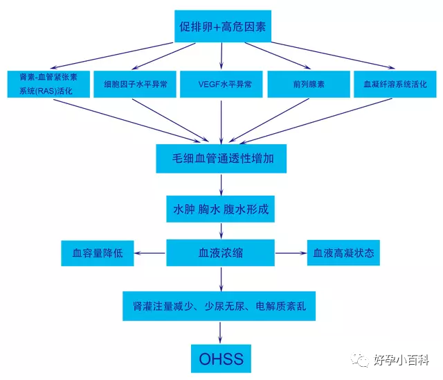 试管促排卵的梦魇——卵巢过度刺激综合征！