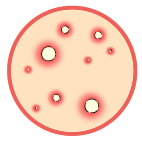 女生那里长毛毛？一张图揭晓“毛毛星人”