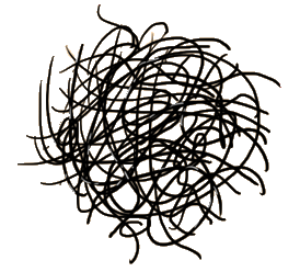 女生那里长毛毛？一张图揭晓“毛毛星人”