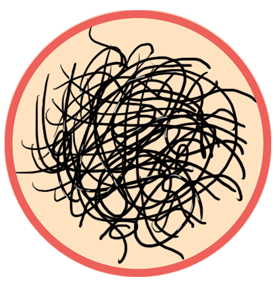 女生那里长毛毛？一张图揭晓“毛毛星人”