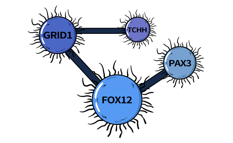 女生那里长毛毛？一张图揭晓“毛毛星人”