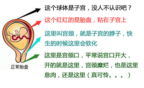 孕早期出血急着保胎？这3种情况值得警惕！