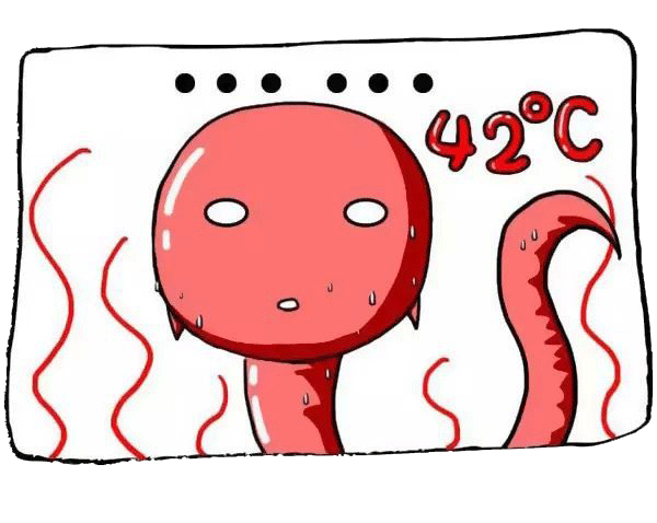 男性弱精症做试管，精子需要达到什么标准？