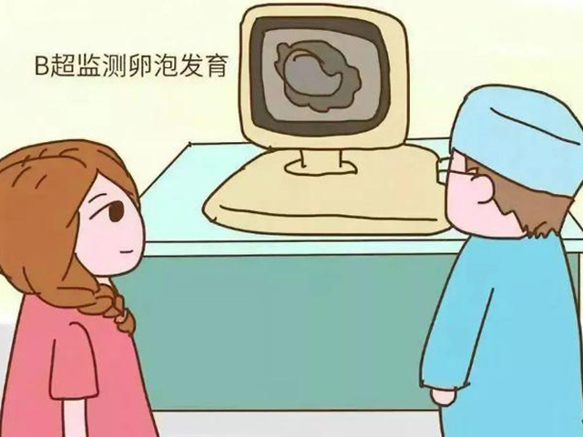 卵子也"内卷"！为何她的卵子数和我的不一样?