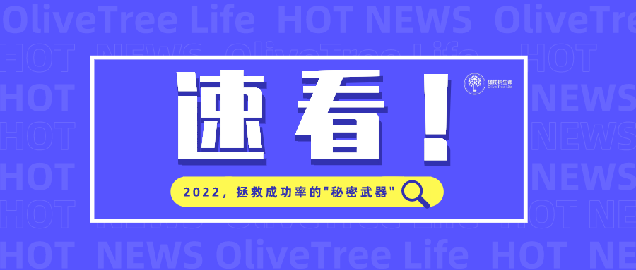 虎年助孕 | 试管饮食规划——胚胎移植篇！