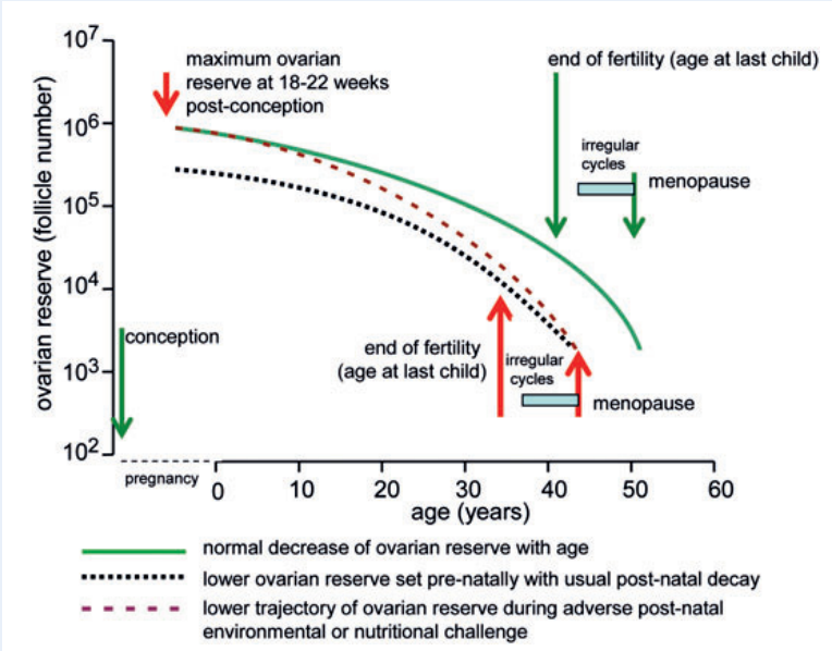 大项目检测卵巢储备功能，哪个更准确？"