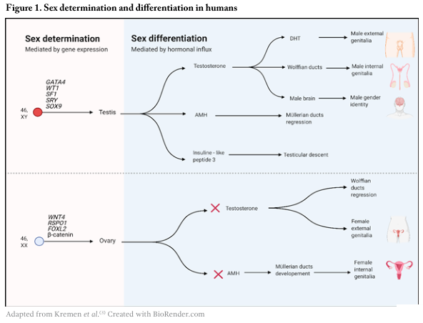 夫妻同床共枕5年，一觉醒来丈夫变“姐妹”！