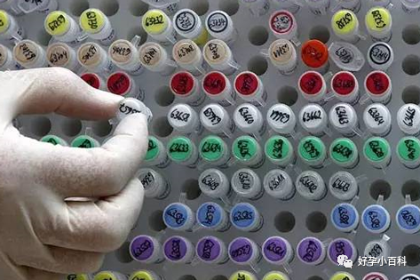 颜值即正义，选对象是，选胚胎也是！！