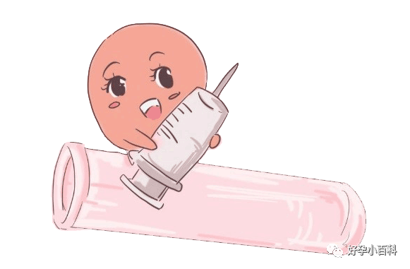 促排会造成卵巢早衰？关于试管促排的几个真相！