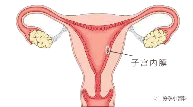 月经不调，量少发黑怎么办？是卵巢早衰了？