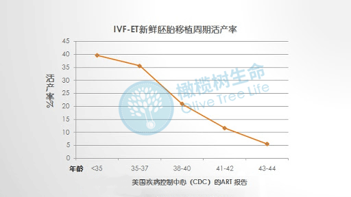女星赵小侨1次人授，2次试管均失败，试管的成功率到底有多少？