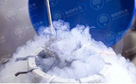 试管婴儿取卵出现腹水怎么办？该怎么预防？