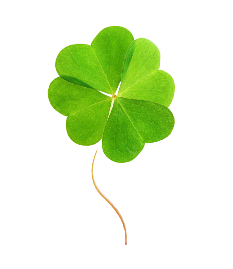 干货  |  被叶酸耽误的唐氏宝宝