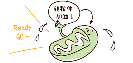 黑马！提高卵子质量全靠它！