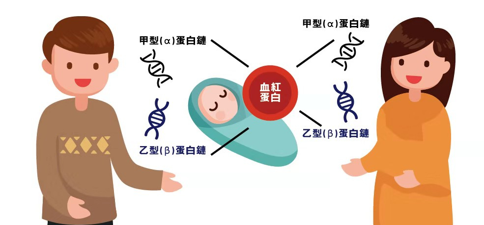 "地贫"患者孕育福音 三代试管省掉100万