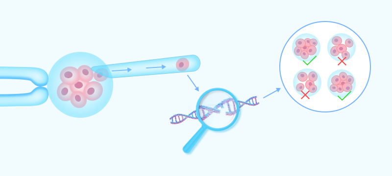 "地贫"患者孕育福音 三代试管省掉100万