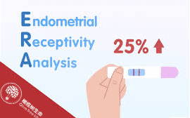 试管婴儿成功率高的秘密——把握胚胎移植“种植窗”!