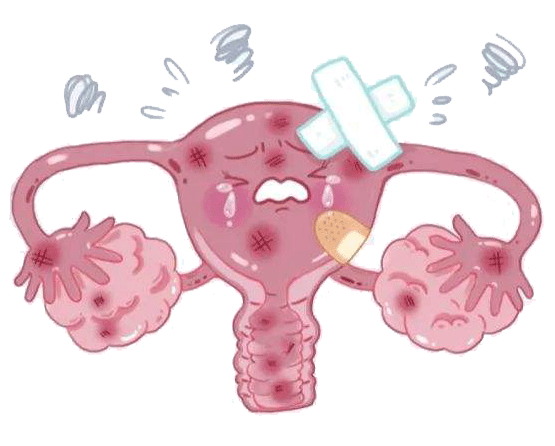 最全！逐个击破「性激素六项」报告各项数值！