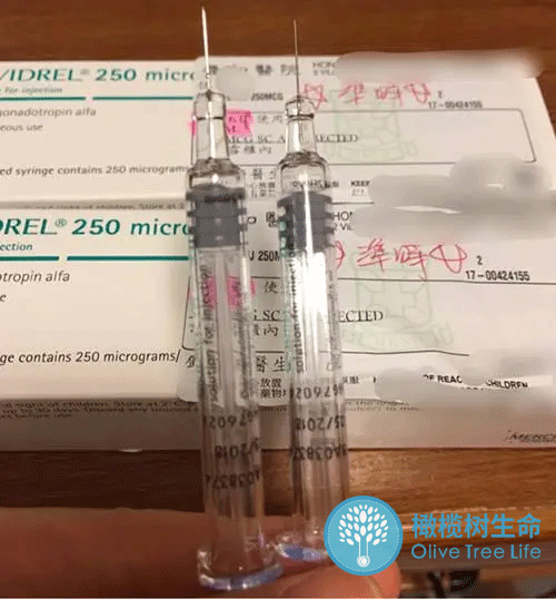 最全！逐个击破「性激素六项」报告各项数值！