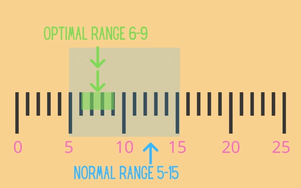 复发性流产患者为什么要查同型半胱氨酸？