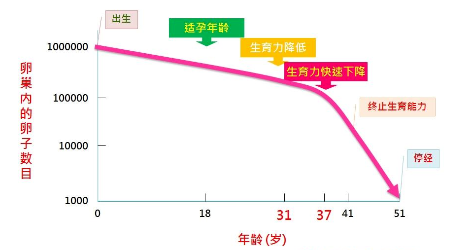 原来冻卵是不是"后悔药"取决于这个因素！