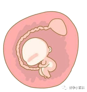 【孕育课堂】胚胎移植后科学保胎注意事项！