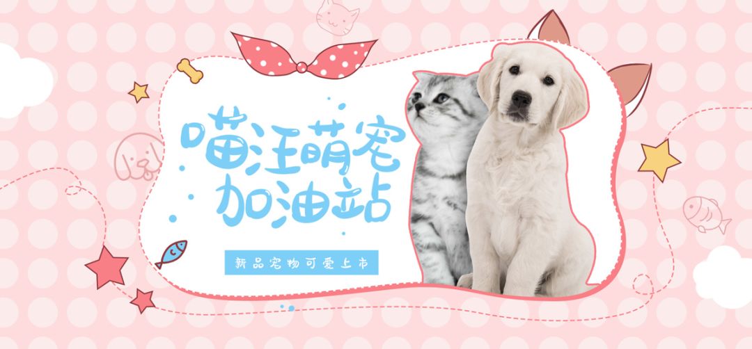 设计圈一个80后男人的自白。