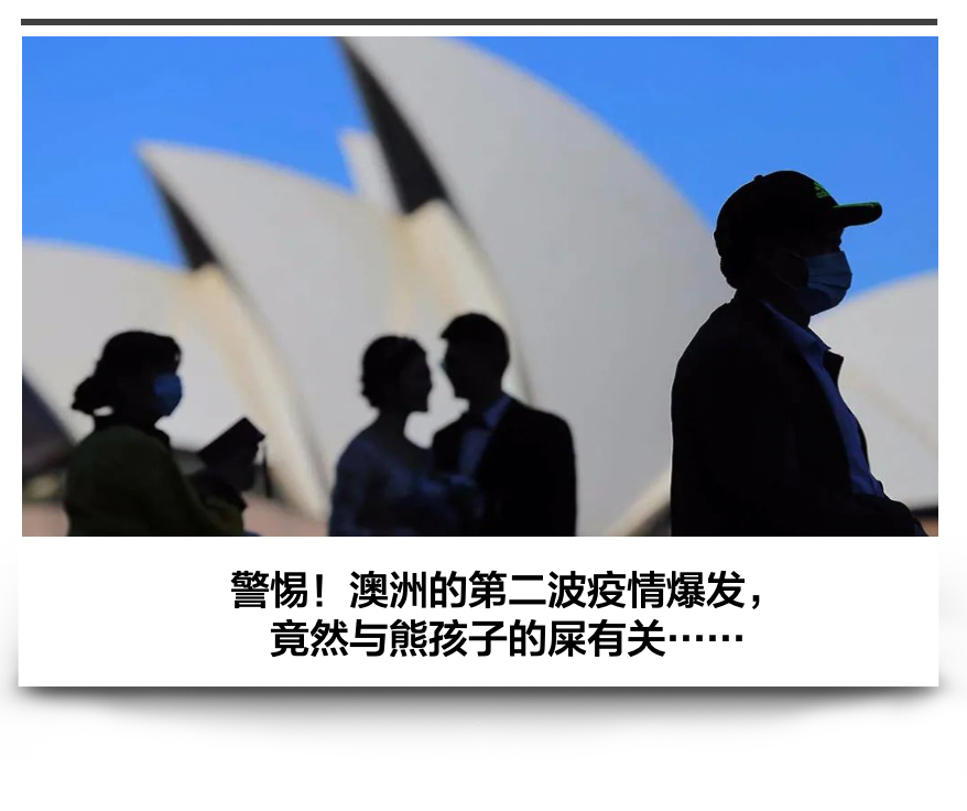 �ܺ�����ʺ�������������α������������������·��Խ��ԽԶ