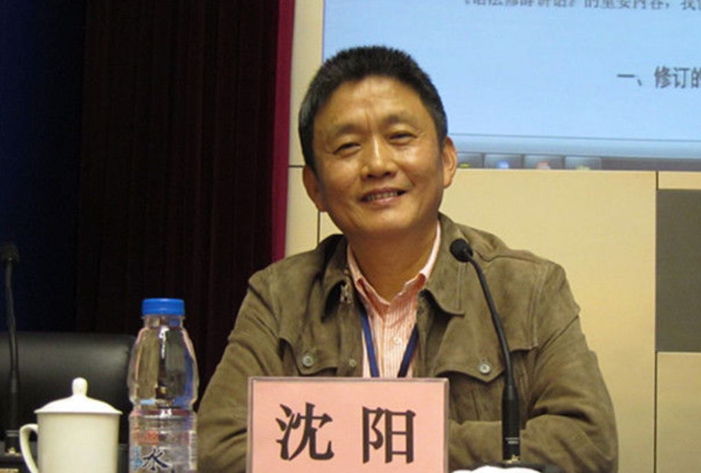 原北大教授沈阳性侵背后是多少不为人知的女孩的悲剧