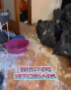 女生跑路丢下一屋屎尿，终于明白大温房东为何不敢租给留学生…（组图） - 3