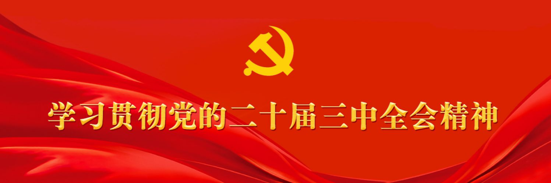 推进高水平平安随州建设 ▏随州市干部群众热议党的二十届三中全会精神(六)国家安全体系,社会治理,应急管理,政法工作,平安中国