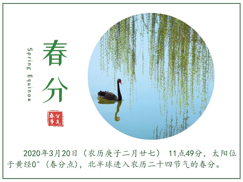 庚子春分 春行春令