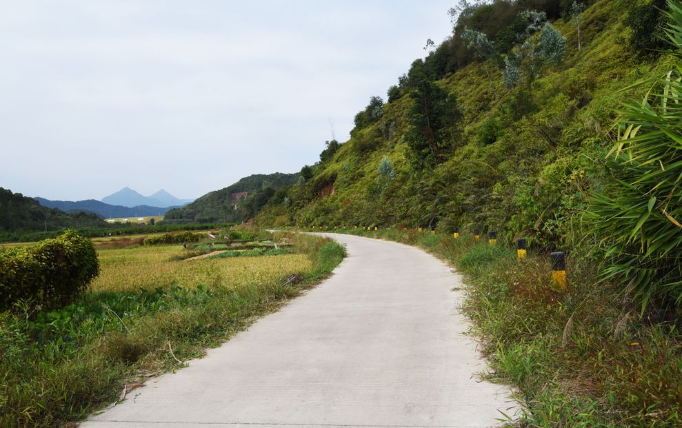 主题教育马宁镇富礼村真学真用真落实主题教育显成效