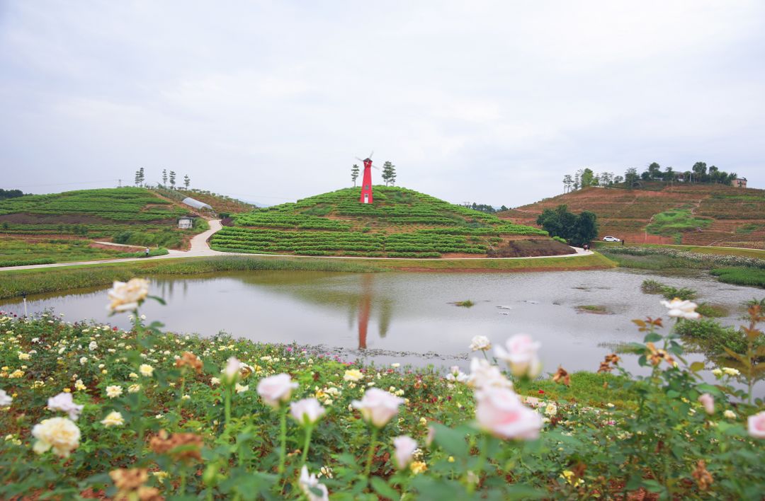广东怀集冷坑湿地公园图片