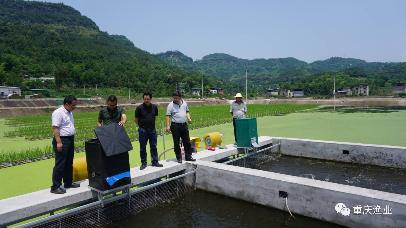 池塘循环水养殖推水