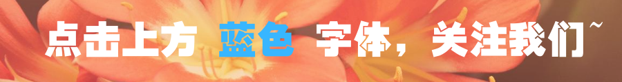 一个转身，光阴就成了故事