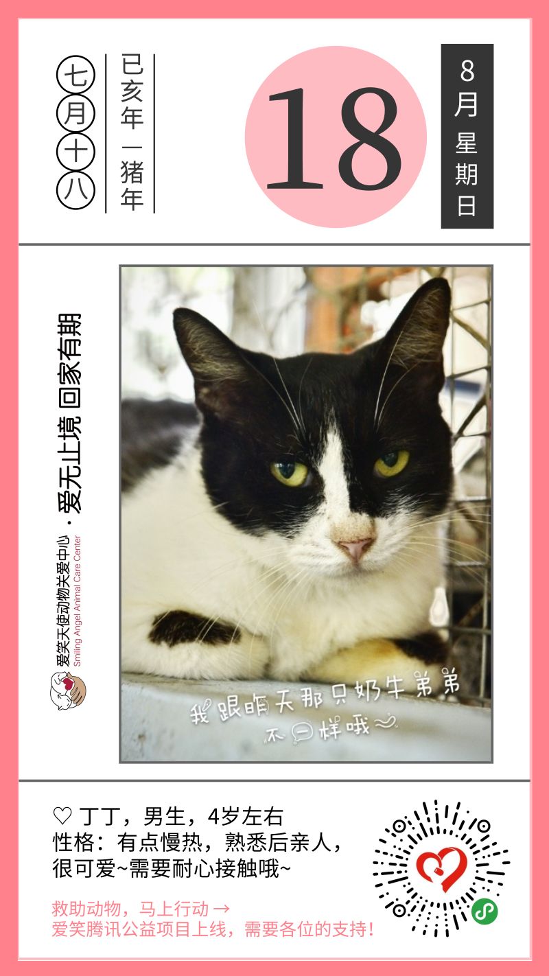 爱笑 日签 8月18日 爱笑天使动物关爱中心 微信公众号文章阅读 Wemp