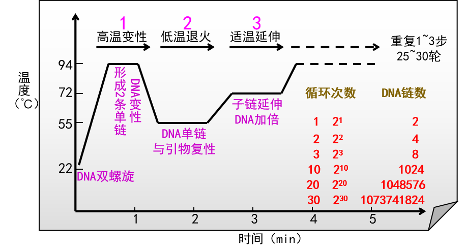 PCR · 耗材篇
