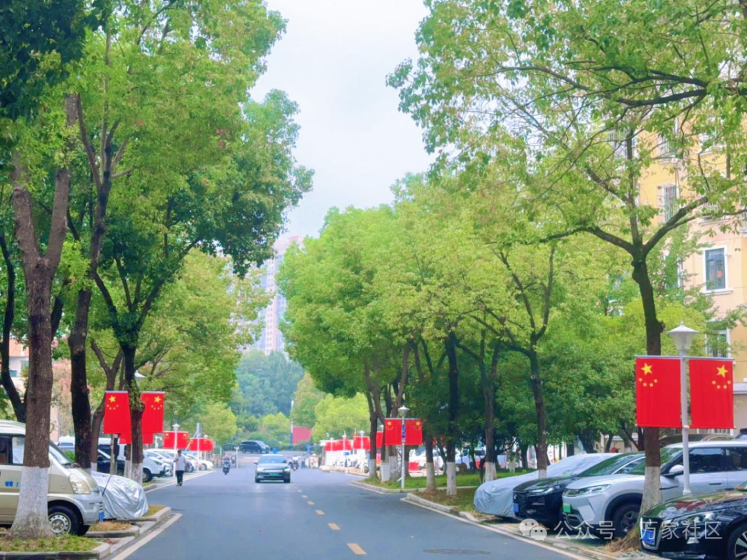图片8.png