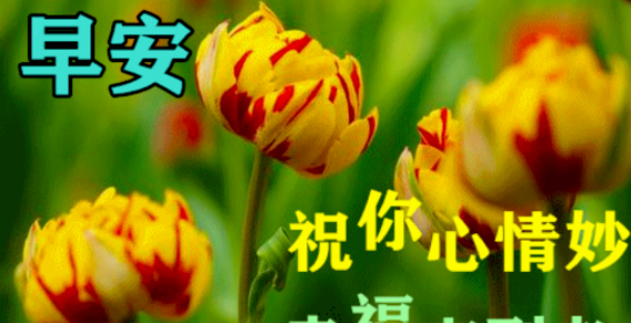 祝福朋友，开开心心的，过好每天
