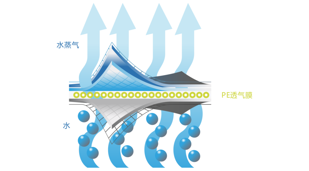 PE透气膜.jpg