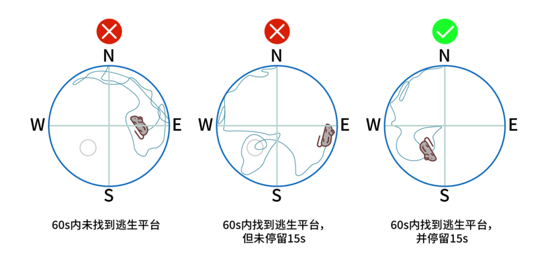 640 (3).png