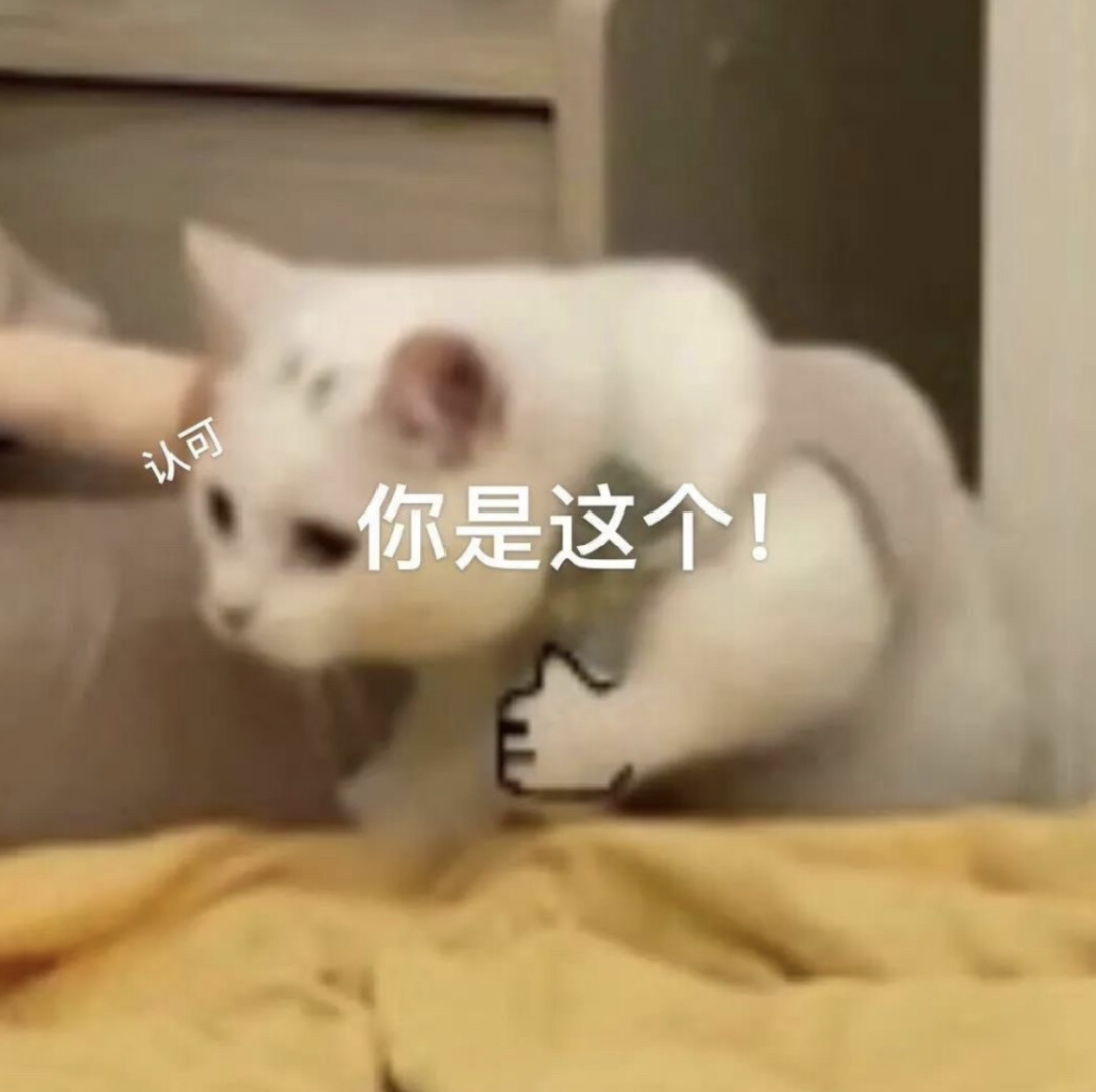 属性拉平，乾坤未定！首届「乱世江湖季·比武大会」选拔开启！